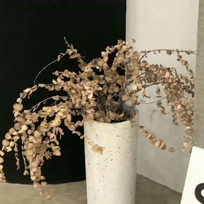 湘潭福瑞交流群